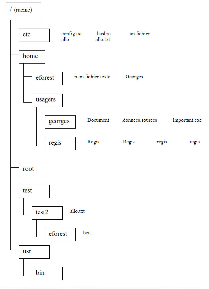 La structure de répertoires utilisée pour l'exercice